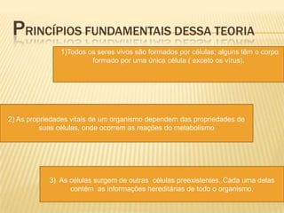 PRINCÍPIOS FUNDAMENTAIS DESSA TEORIA
               1)Todos os seres vivos são formados por células; alguns têm o corpo
                        formado por uma única célula ( exceto os vírus).




2) As propriedades vitais de um organismo dependem das propriedades de
          suas células, onde ocorrem as reações do metabolismo




            3) As células surgem de outras células preexistentes. Cada uma delas
                  contém as informações hereditárias de todo o organismo.
 