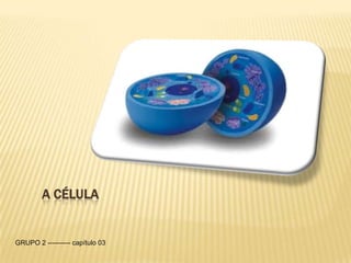 A CÉLULA


GRUPO 2 ---------- capítulo 03
 