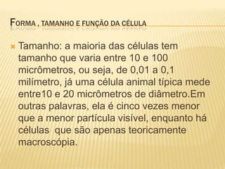 FORMA , TAMANHO E FUNÇÃO DA CÉLULA

   Tamanho: a maioria das células tem
    tamanho que varia entre 10 e 100
    micrômetros, ou seja, de 0,01 a 0,1
    milímetro, já uma célula animal típica mede
    entre10 e 20 micrômetros de diâmetro.Em
    outras palavras, ela é cinco vezes menor
    que a menor partícula visível, enquanto há
    células que são apenas teoricamente
    macroscópia.
 