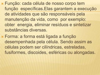  Função: cada célula de nosso corpo tem
  função específicas.Elas garantem a execução
  de atividades que são responsáveis pela
  manutenção da vida, como por exemplo:
  obter energia, eliminar resíduos e sintetizar
  substâncias diversas.
 Forma: a forma está ligada a função
  desempenhada pela célula. Sendo assim as
  células podem ser cilíndricas, estreladas,
  fusiformes, discoides, esféricas ou alongadas.
 