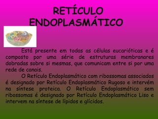RETÍCULO ENDOPLASMÁTICO  Está presente em todas as células eucarióticas e é composto por uma série de estruturas membranares dobradas sobre si mesmas, que comunicam entre si por uma rede de canais. O Retículo Endoplasmático com ribossomas associados é designado por Retículo Endoplasmático Rugoso e intervém na síntese proteica. O Retículo Endoplasmático sem ribossomas é designado por Retículo Endoplasmático Liso e intervem na síntese de lípidos e glícidos. 