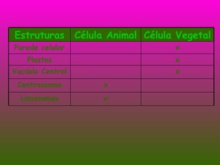 Estruturas Célula Animal Célula Vegetal Parede celular x Plastos x Vacúolo Central x Centrossoma x Lisossomas x 