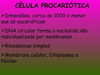 CÉLULA PROCARIÓTICA Dimensões: cerca de 1000 x menor que as eucarióticas DNA circular forma o nucleóide não individualizado por membranas Ribossomas simples Membrana celular, Citoplasma e Núcleo 