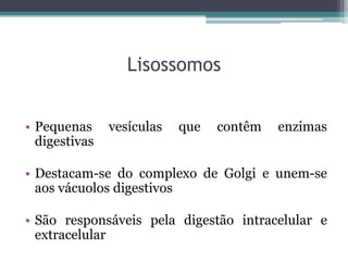 Lisossomos


• Pequenas     vesículas   que   contêm   enzimas
  digestivas

• Destacam-se do complexo de Golgi e unem-se
  aos vácuolos digestivos

• São responsáveis pela digestão intracelular e
  extracelular
 