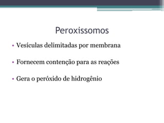 Peroxissomos
• Vesículas delimitadas por membrana

• Fornecem contenção para as reações

• Gera o peróxido de hidrogênio
 