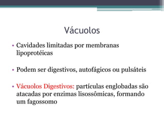 Vácuolos
• Cavidades limitadas por membranas
  lipoprotéicas

• Podem ser digestivos, autofágicos ou pulsáteis

• Vácuolos Digestivos: partículas englobadas são
  atacadas por enzimas lisossômicas, formando
  um fagossomo
 