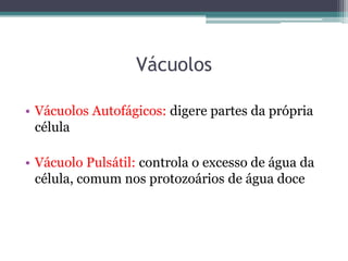Vácuolos

• Vácuolos Autofágicos: digere partes da própria
  célula

• Vácuolo Pulsátil: controla o excesso de água da
  célula, comum nos protozoários de água doce
 