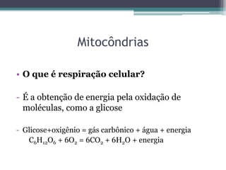 Mitocôndrias

• O que é respiração celular?

- É a obtenção de energia pela oxidação de
  moléculas, como a glicose

- Glicose+oxigênio = gás carbônico + água + energia
   C6H12O6 + 6O2 = 6CO2 + 6H2O + energia
 