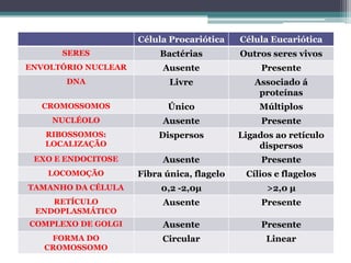Célula Procariótica    Célula Eucariótica
      SERES               Bactérias         Outros seres vivos
ENVOLTÓRIO NUCLEAR        Ausente                Presente
       DNA                  Livre              Associado á
                                                proteínas
  CROMOSSOMOS              Único                Múltiplos
    NUCLÉOLO              Ausente                Presente
   RIBOSSOMOS:           Dispersos          Ligados ao retículo
   LOCALIZAÇÃO                                  dispersos
 EXO E ENDOCITOSE         Ausente                Presente
    LOCOMOÇÃO        Fibra única, flagelo    Cílios e flagelos
TAMANHO DA CÉLULA         0,2 -2,0μ               >2,0 μ
    RETÍCULO              Ausente                Presente
 ENDOPLASMÁTICO
COMPLEXO DE GOLGI         Ausente                Presente
    FORMA DO              Circular                Linear
   CROMOSSOMO
 