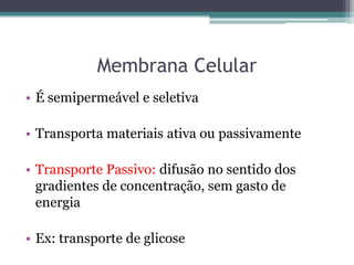 Membrana Celular
• É semipermeável e seletiva

• Transporta materiais ativa ou passivamente

• Transporte Passivo: difusão no sentido dos
  gradientes de concentração, sem gasto de
  energia

• Ex: transporte de glicose
 