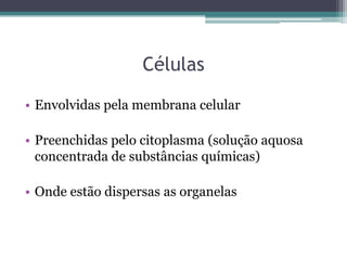 Células

• Envolvidas pela membrana celular

• Preenchidas pelo citoplasma (solução aquosa
  concentrada de substâncias químicas)

• Onde estão dispersas as organelas
 