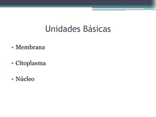 Unidades Básicas

• Membrana

• Citoplasma

• Núcleo
 