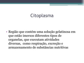 Citoplasma


• Região que contém uma solução gelatinosa em
  que estão imersos diferentes tipos de
  organelas, que executam atividades
  diversas, como respiração, excreção e
  armazenamento de substâncias nutritivas
 