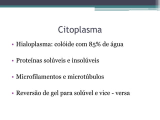 Citoplasma
• Hialoplasma: colóide com 85% de água

• Proteínas solúveis e insolúveis

• Microfilamentos e microtúbulos

• Reversão de gel para solúvel e vice - versa
 