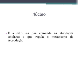 Núcleo



• É a estrutura que comanda as atividades
  celulares e que regula o mecanismo de
  reprodução
 