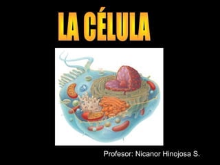 Profesor: Nicanor Hinojosa S.
 