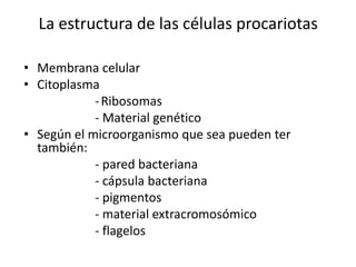 La estructura de las células procariotas
• Membrana celular
• Citoplasma
-Ribosomas
- Material genético
• Según el microorganismo que sea pueden ter
también:
- pared bacteriana
- cápsula bacteriana
- pigmentos
- material extracromosómico
- flagelos
 