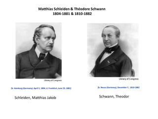 Schleiden, Matthias Jakob
[b. Hamburg (Germany), April 5, 1804, d. Frankfurt, June 23, 1881] [b. Neuss (Germany), December 7, 1810-1882
Schwann, Theodor
Matthias Schleiden & Théodore Schwann
1804-1881 & 1810-1882
 