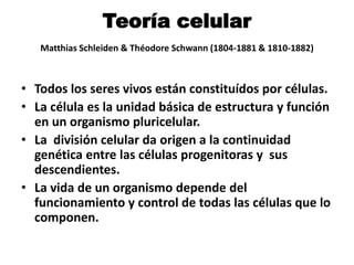 Teoría celular
Matthias Schleiden & Théodore Schwann (1804-1881 & 1810-1882)
• Todos los seres vivos están constituídos por células.
• La célula es la unidad básica de estructura y función
en un organismo pluricelular.
• La división celular da origen a la continuidad
genética entre las células progenitoras y sus
descendientes.
• La vida de un organismo depende del
funcionamiento y control de todas las células que lo
componen.
 