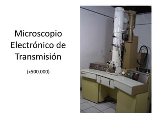 Microscopio
Electrónico de
Transmisión
(x500.000)
 