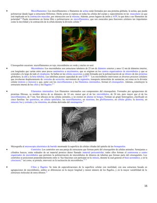 • Microfilamentos: Los microfilamentos o filamentos de actina están formados por una proteína globular, la actina, que puede
polimerizar dando lugar a estructuras filiformes. Dicha actina se expresa en todas las células del cuerpo y especialmente en las musculares ya que
está implicada en la contracción muscular, por interacción con la miosina. Además, posee lugares de unión a ATP, lo que dota a sus filamentos de
polaridad.50
Puede encontrarse en forma libre o polimerizarse en microfilamentos, que son esenciales para funciones celulares tan importantes
como la movilidad y la contracción de la célula durante la división celular.44
Citoesqueleto eucariota: microfilamentos en rojo, microtúbulos en verde y núcleo en azul.
• Microtúbulos: Los microtúbulos son estructuras tubulares de 25 nm de diámetro exterior y unos 12 nm de diámetro interior,
con longitudes que varían entre unos pocos nanómetros a micrómetros, que se originan en los centros organizadores de microtúbulos y que se
extienden a lo largo de todo el citoplasma. Se hallan en las células eucariotas y están formadas por la polimerización de un dímero de dos proteínas
globulares, la alfa y la beta tubulina. Las tubulinas poseen capacidad de unir GTP.44 1
Los microtúbulos intervienen en diversos procesos celulares
que involucran desplazamiento de vesículas de secreción, movimiento de orgánulos, transporte intracelular de sustancias, así como en la división
celular (mitosis y meiosis) y que, junto con los microfilamentos y los filamentos intermedios, forman el citoesqueleto. Además, constituyen la
estructura interna de los cilios y los flagelos.44 1
• Filamentos intermedios: Los filamentos intermedios son componentes del citoesqueleto. Formados por agrupaciones de
proteínas fibrosas, su nombre deriva de su diámetro, de 10 nm, menor que el de los microtúbulos, de 24 nm, pero mayor que el de los
microfilamentos, de 7 nm. Son ubicuos en las células animales, y no existen en plantas ni hongos. Forman un grupo heterogéneo, clasificado en
cinco familias: las queratinas, en células epiteliales; los neurofilamentos, en neuronas; los gliofilamentos, en células gliales; la desmina, en
músculo liso y estriado; y la vimentina, en células derivadas del mesénquima.10
Micrografía al microscopio electrónico de barrido mostrando la superficie de células ciliadas del epitelio de los bronquiolos.
• Centríolos: Los centríolos son una pareja de estructuras que forman parte del citoesqueleto de células animales. Semejantes a
cilindros huecos, están rodeados de un material proteico denso llamado material pericentriolar; todos ellos forman el centrosoma o centro
organizador de microtúbulos que permiten la polimerización de microtúbulos de dímeros de tubulina que forman parte del citoesqueleto. Los
centríolos se posicionan perpendicularmente entre sí. Sus funciones son participar en la mitosis, durante la cual generan el huso acromático, y en la
citocinesis,51
así como, se postula, intervenir en la nucleación de microtúbulos.52 53
• Cilios y flagelos: Se trata de especializaciones de la superficie celular con motilidad; con una estructura basada en
agrupaciones de microtúbulos, ambos se diferencian en la mayor longitud y menor número de los flagelos, y en la mayor variabilidad de la
estructura molecular de estos últimos.10
16
 