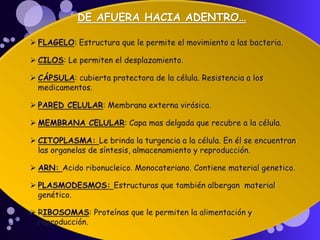 DE AFUERA HACIA ADENTRO…