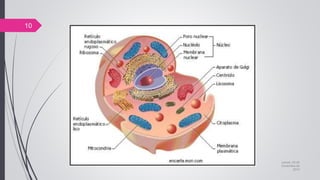 jueves, 05 de
noviembre de
2015
10
 