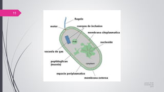jueves, 05 de
noviembre de
2015
11
 