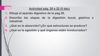 13 Actividad pág. 20 a 22 (5 déc)
1. Dibuja el aparato digestivo de la pág.20.
2. Describe las etapas de la digestión bucal, gástrica e
intestinal.
3. ¿Qué es la absorción?¿En qué estructuras se produce?
4. ¿Qué es la egestión y qué órganos están involucrados?
 
