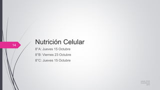 Nutrición Celular
8°A: Jueves 15 Octubre
8°B: Viernes 23 Octubre
8°C: Jueves 15 Octubre
jueves, 05 de
noviembre de
2015
14
 
