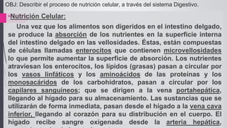 jueves, 05 de
noviembre de
2015
16•Nutrición Celular:
Una vez que los alimentos son digeridos en el intestino delgado,
se produce la absorción de los nutrientes en la superficie interna
del intestino delgado en las vellosidades. Éstas, están compuestas
de células llamadas enterocitos que contienen microvellosidades
lo que permite aumentar la superficie de absorción. Los nutrientes
atraviesan los enterocitos, los lípidos (grasas) pasan a circular por
los vasos linfáticos y los aminoácidos de las proteínas y los
monosacáridos de los carbohidratos, pasan a circular por los
capilares sanguíneos; que se dirigen a la vena portahepática,
llegando al hígado para su almacenamiento. Las sustancias que se
utilizarán de forma inmediata, pasan desde el hígado a la vena cava
inferior, llegando al corazón para su distribución en el cuerpo. El
hígado recibe sangre oxigenada desde la arteria hepática,
OBJ: Describir el proceso de nutrición celular, a través del sistema Digestivo.
 
