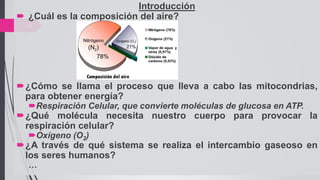 19
Introducción
 ¿Cuál es la composición del aire?
¿Cómo se llama el proceso que lleva a cabo las mitocondrias,
para obtener energía?
Respiración Celular, que convierte moléculas de glucosa en ATP.
¿Qué molécula necesita nuestro cuerpo para provocar la
respiración celular?
Oxígeno (O2)
¿A través de qué sistema se realiza el intercambio gaseoso en
los seres humanos?
…
 