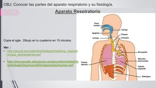 20 Aparato Respiratorio
Copia el sgte . Dibujo en tu cuaderno en 15 minutos.
Ver: :
• http://skoool.es/content/ks4/biology/breathing_respirati
on/gas_exchange/nav.swf
• http://recursostic.educacion.es/secundaria/edad/3e
sobiologia/3quincena8/imagenes/pulmones.swf
OBJ: Conocer las partes del aparato respiratorio y su fisiología.
 