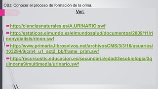 OBJ: Conocer el proceso de formación de la orina.
23 Ver:
http://cienciasnaturales.es/A.URINARIO.swf
http://estaticos.elmundo.es/elmundosalud/documentos/2009/11/ri
nonydialisis/rinon.swf
http://www.primaria.librosvivos.net/archivosCMS/3/3/16/usuarios/
103294/9/cm4_u1_act2_bb/frame_prim.swf
http://recursostic.educacion.es/secundaria/edad/3esobiologia/3q
uincena9/multimedia/urinario.swf
 