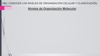 OBJ: CONOCER LOS NIVELES DE ORGANIZACIÓN CELULAR Y CLASIFICACIÓN.
5 Niveles de Organización Molecular
 