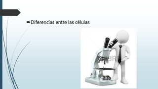 Diferencias entre las células
 