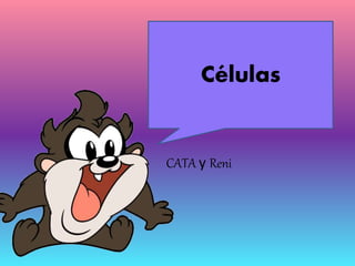 CATA y Reni
Células
 