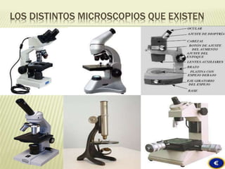 LOS DISTINTOS MICROSCOPIOS QUE EXISTEN