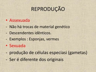 REPRODUÇÃO
• Assexuada
- Não há trocas de material genético
- Descendentes idênticos.
- Exemplos : Esponjas, vermes
• Sexuada
- produção de células especiasi (gametas)
- Ser é diferente dos originais
 