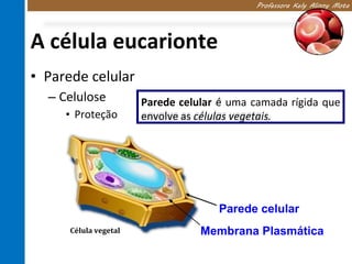 Célula citologia | PDF