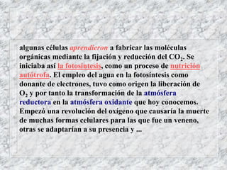 algunas células aprendieron a fabricar las moléculas
orgánicas mediante la fijación y reducción del CO2. Se
iniciaba así la fotosíntesis, como un proceso de nutrición
autótrofa. El empleo del agua en la fotosíntesis como
donante de electrones, tuvo como origen la liberación de
O2 y por tanto la transformación de la atmósfera
reductora en la atmósfera oxidante que hoy conocemos.
Empezó una revolución del oxígeno que causaría la muerte
de muchas formas celulares para las que fue un veneno,
otras se adaptarían a su presencia y ...
 