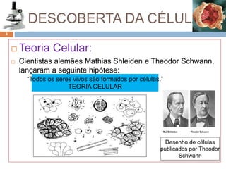 A DESCOBERTA DA CÉLULA
 Teoria Celular:
 Cientistas alemães Mathias Shleiden e Theodor Schwann,
lançaram a seguinte hipótese:
“Todos os seres vivos são formados por células.”
TEORIA CELULAR
Desenho de células
publicados por Theodor
Schwann
4
 