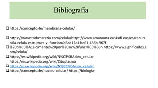 Bibliografía
❑https://concepto.de/membrana-celular/
❑https://www.todamateria.com/celula/https://www.amarauna.euskadi.eus/es/recurs
o/la-celula-estructura-y- funcion/d6cd12e4-be61-436b-967f-
❑%20b%C3%A1sicamente%20por%20su%20funci%C3%B3n.https://www.significados.c
om/celula/
❑https://es.wikipedia.org/wiki/N%C3%BAcleo_celular
https://es.wikipedia.org/wiki/Citoplasma
❑https://es.wikipedia.org/wiki/N%C3%BAcleo_celular
❑https://concepto.de/nucleo-celular/ https://biologia-
 