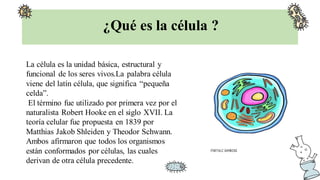 ¿Qué es la célula ?
La célula es la unidad básica, estructural y
funcional de los seres vivos.La palabra célula
viene del latín célula, que significa “pequeña
celda”.
El término fue utilizado por primera vez por el
naturalista Robert Hooke en el siglo XVII. La
teoría celular fue propuesta en 1839 por
Matthias Jakob Shleiden y Theodor Schwann.
Ambos afirmaron que todos los organismos
están conformados por células, las cuales
derivan de otra célula precedente.
 