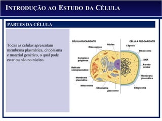 INTRODUÇÃO AO ESTUDO DA CÉLULA
PARTES DA CÉLULA
Todas as células apresentam
membrana plasmática, citoplasma
e material genético, o qual pode
estar ou não no núcleo.
 