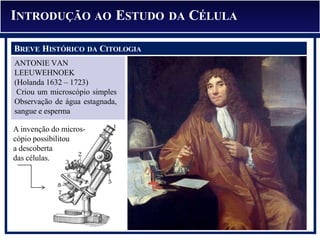 ANTONIE VAN
LEEUWEHNOEK
(Holanda 1632 – 1723)
Criou um microscópio simples
Observação de água estagnada,
sangue e esperma
INTRODUÇÃO AO ESTUDO DA CÉLULA
BREVE HISTÓRICO DA CITOLOGIA
A invenção do micros-
cópio possibilitou
a descoberta
das células.
 