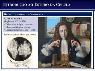 INTRODUÇÃO AO ESTUDO DA CÉLULA
BREVE HISTÓRICO DA CITOLO GIA
ROBERT HOOKE
(Inglaterra 1635 – 1703):
• Criou microscópio composto.
• Observou fatias de cortiça.
• Origem do termo célula (1665).
Fatias de cortiça vistas por Hooke.
 