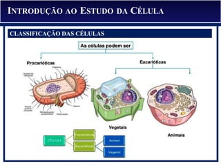INTRODUÇÃO AO ESTUDO DA CÉLULA
CLASSIFICAÇÃO DAS CÉLULAS
 