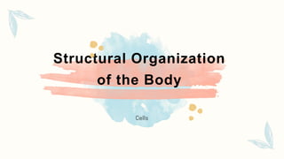 Structural Organization
of the Body
 