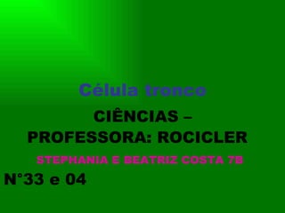 Célula tronco CIÊNCIAS – PROFESSORA: ROCICLER  STEPHANIA E BEATRIZ COSTA 7B   N°33 e 04  